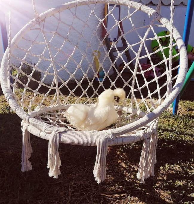 Chiclana El Principito Villa Chiclana de la Frontera Kültér fotó